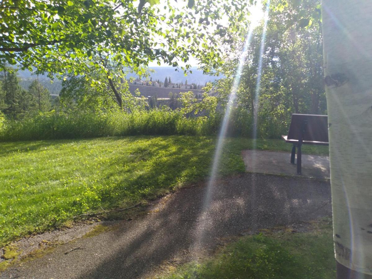 Appletree Inn Radium Hot Springs Bagian luar foto