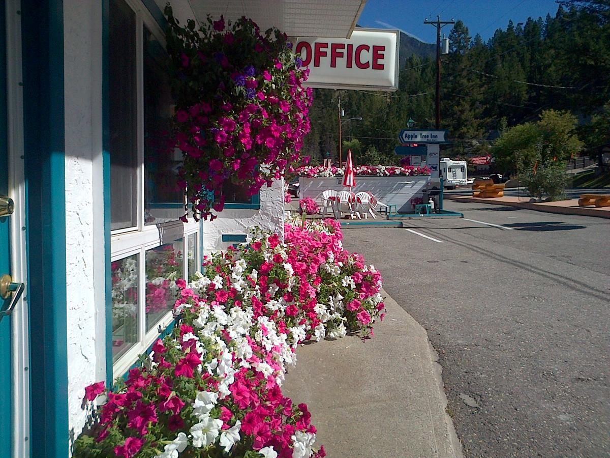 Appletree Inn Radium Hot Springs Bagian luar foto