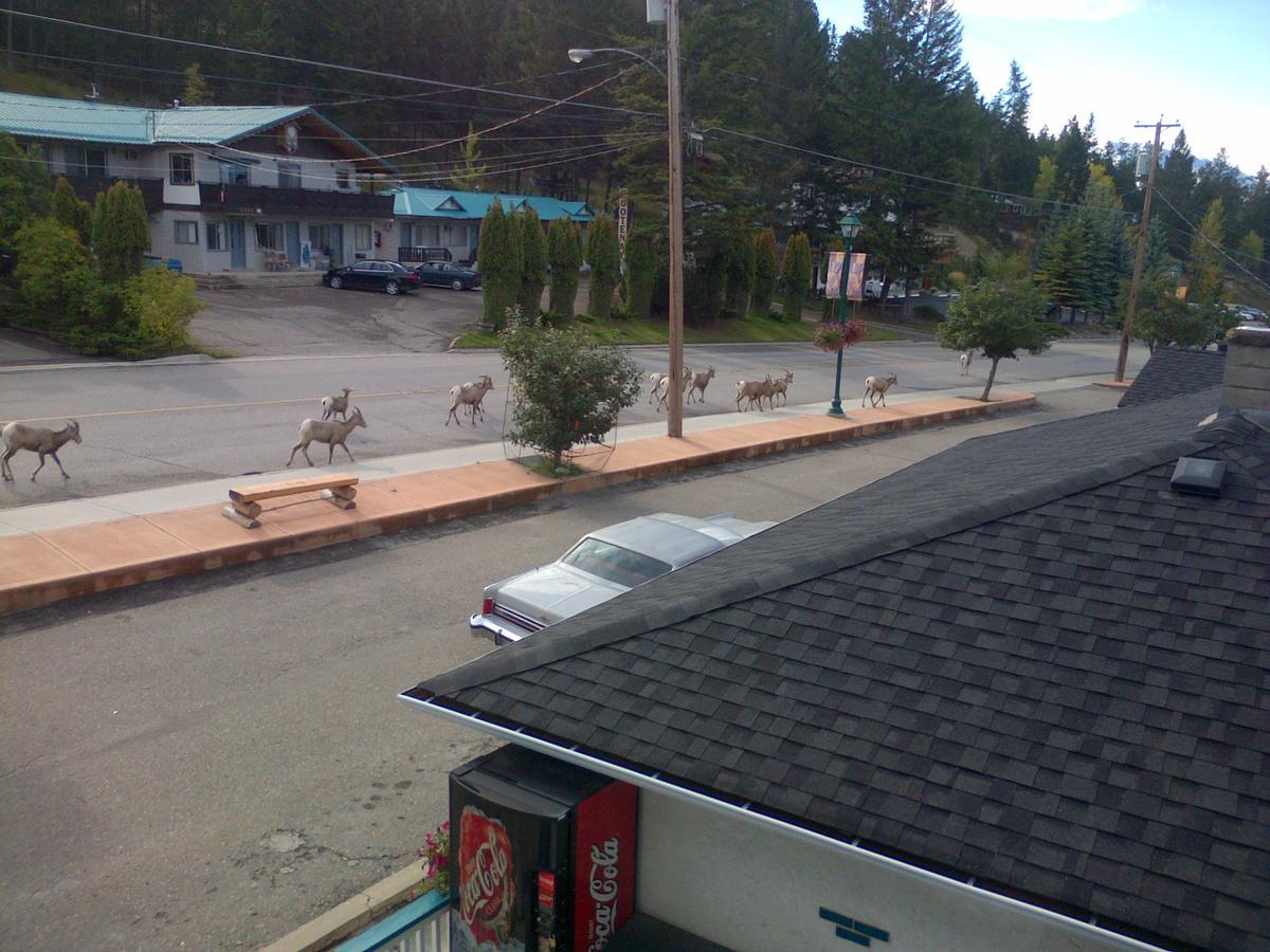 Appletree Inn Radium Hot Springs Bagian luar foto